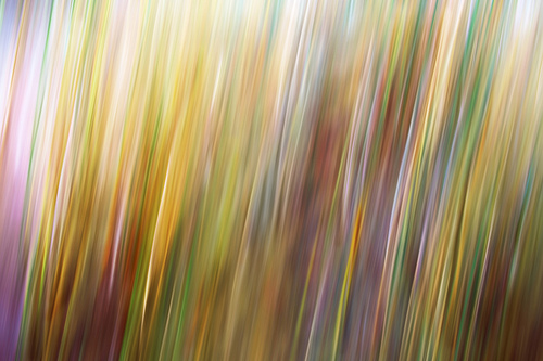 Grass motion blur wallpaper