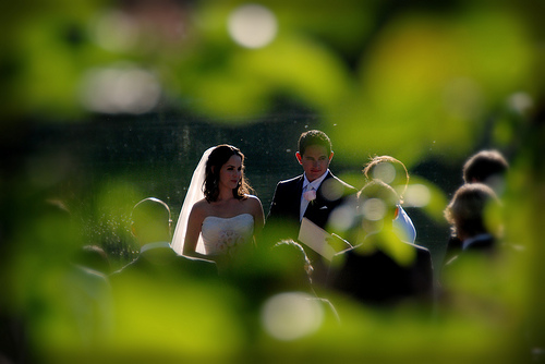 My Friend's Wedding Photos