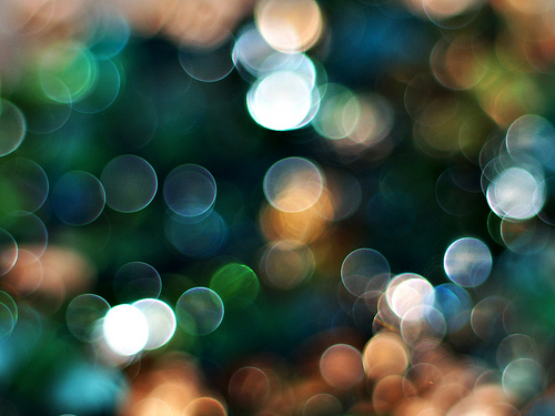 My Love For Bokeh