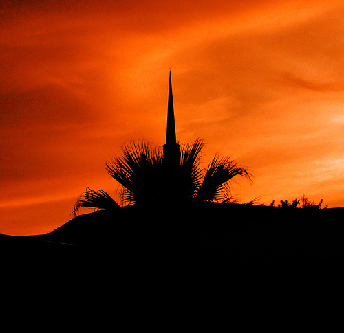 Church And Palm Against Autumn Sky