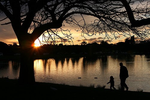 Father And Daughter, Sunset At Centennial Park Sydney Australia