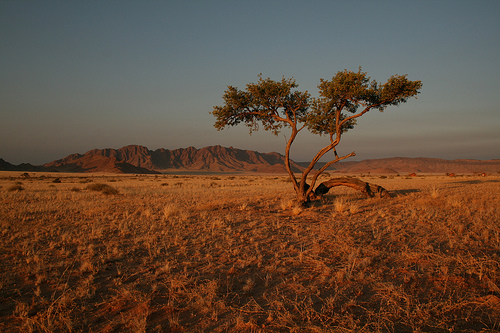 Sossusvlei Region Landscape