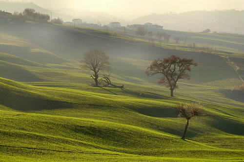 Le Marche-onda Verde