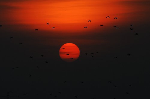 Sunset @ Kg Padang