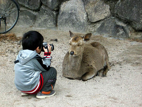 The Innovative Zoom Lens