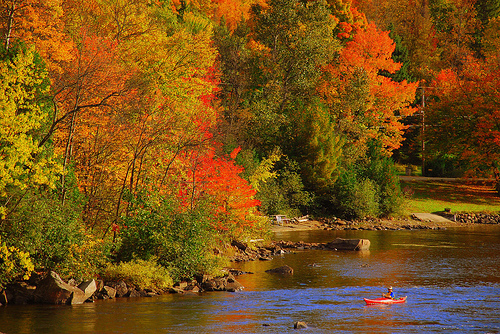 More Fall Colors