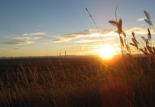 Nose Hill Park