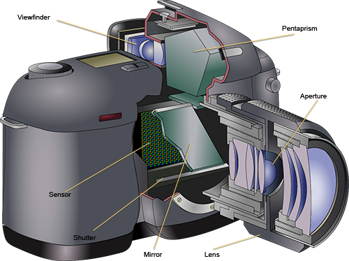 Cross Section Of DSLR