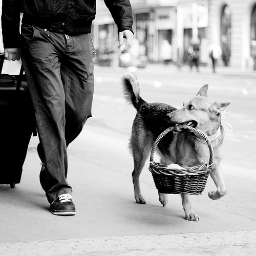 Fine Art Street Photography