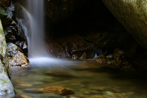 Natures' Showers