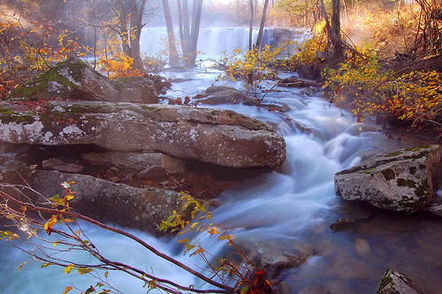 Sunrise At Falling Water