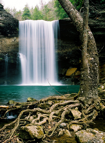 Water, Rocks And Roots