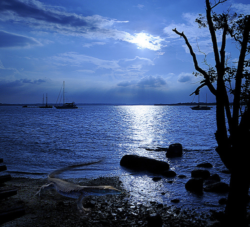 You May Get A Pleasant Surprise When You Visit Changi Broadwalk At Twilight Time...