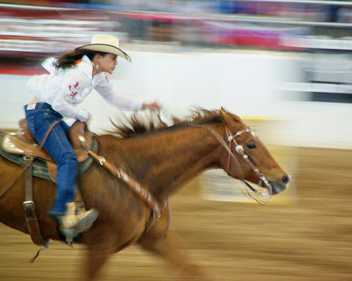 Determination - Barrel Racing