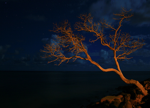 Oahu At Night