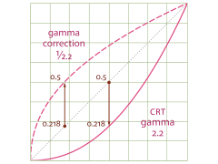 Gamma_function_Graph